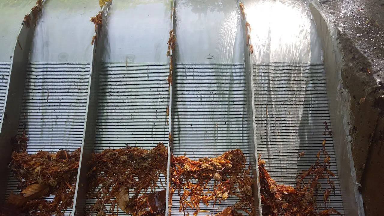 Jingzhou's Wedge Wire Screen for Water Treatment and Industrial Filtration